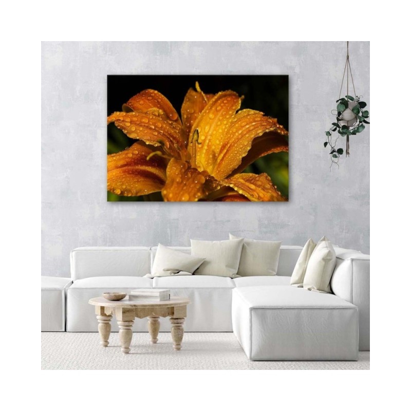 Leinwandbild - Goldlilie | Feeby