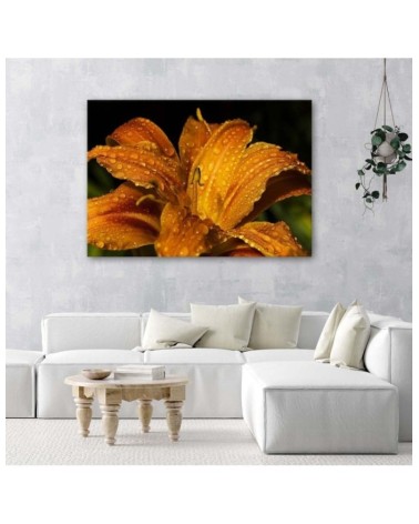 Leinwandbild - Goldlilie | Feeby