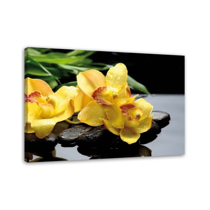 Bild auf Leinwand - Narzissen und Zen-Steine | Feeby