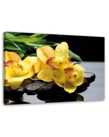 Canvas prints for spa - Daffodils and zen stones | FEEBY
