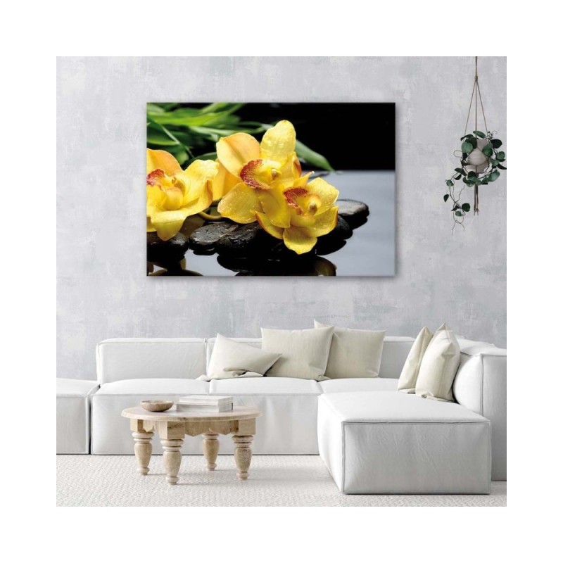 Bild auf Leinwand - Narzissen und Zen-Steine | Feeby