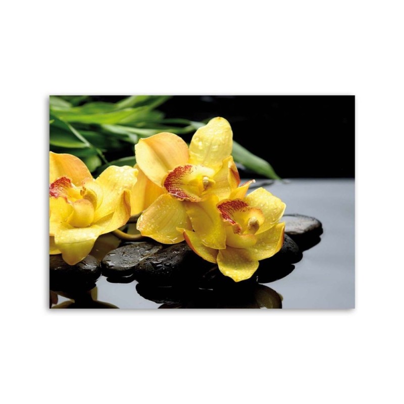 Bild auf Leinwand - Narzissen und Zen-Steine | Feeby