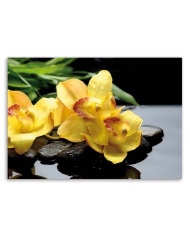 Bild auf Leinwand - Narzissen und Zen-Steine | Feeby