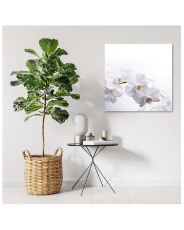 Modernes Wandbild - Weiße Orchideen auf weißem Hintergrund | Feeby
