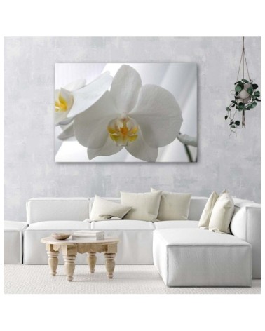 Leinwandbild - Weiße Orchideen mit gelber Mitte | Feeby