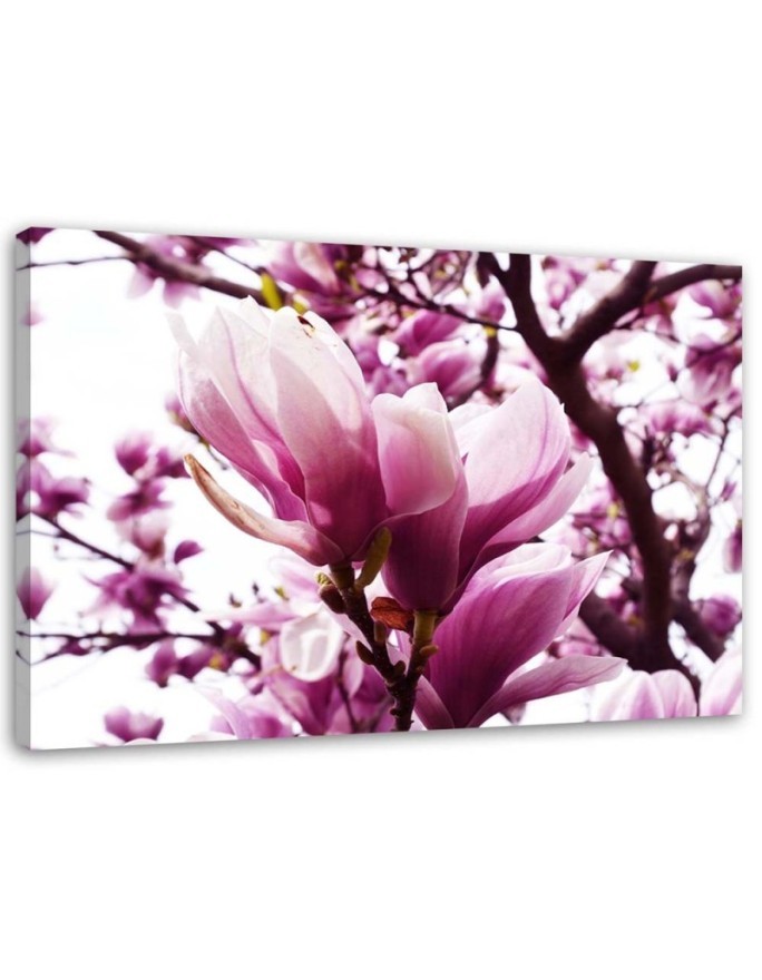 Kwitnąca magnolia - Nowoczesny obraz do salonu | FEEBY