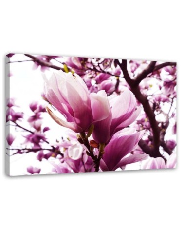 Blooming magnolia - Modern Canvas painting for living room | FEEBY