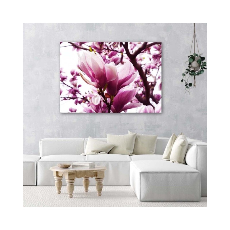 Leinwandbild - Blühende Magnolie | Feeby