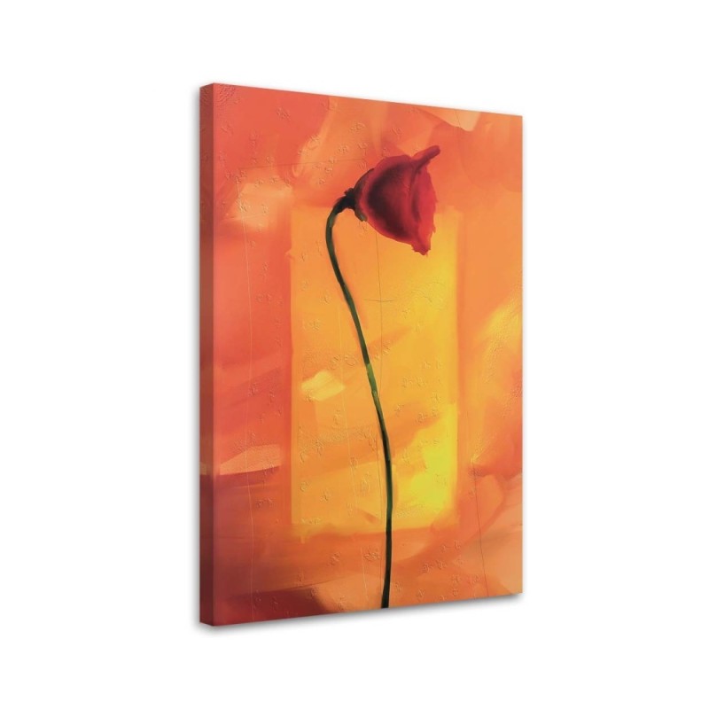 Leinwandbild - Einzelne Mohnblume | Feeby