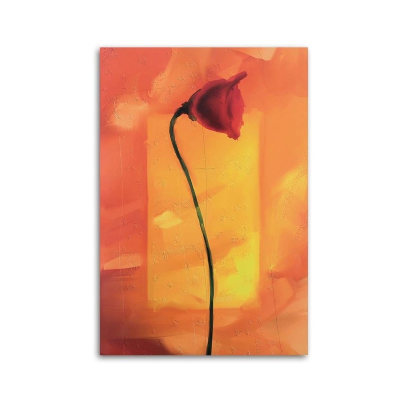 Leinwandbild - Einzelne Mohnblume | Feeby