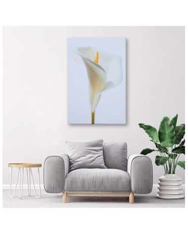 Leinwandbild - Weiße Calla | Feeby
