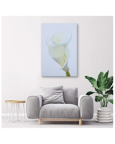 Bild auf Leinwand - Weiße Calla | Feeby