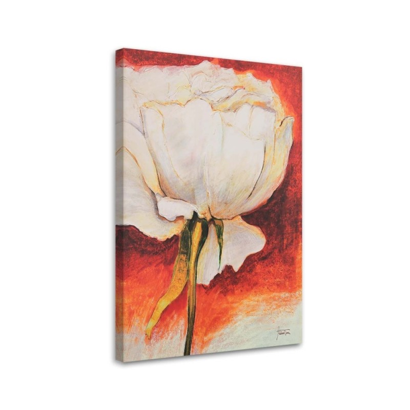 Modernes Wandbild - Weiße Pfingstrose - handbemalt | Feeby