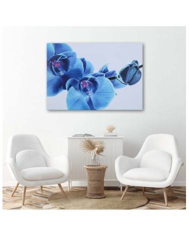 Leinwandbild - Blaue Orchidee - Zweig mit Blüten | Feeby