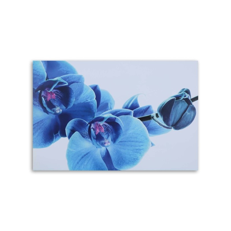 Leinwandbild - Blaue Orchidee - Zweig mit Blüten | Feeby