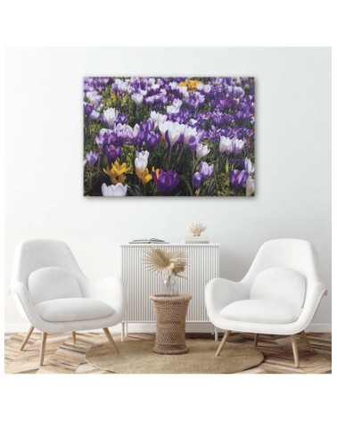 Leinwandbild - Frühlingskrokusse auf einer Wiese | Feeby