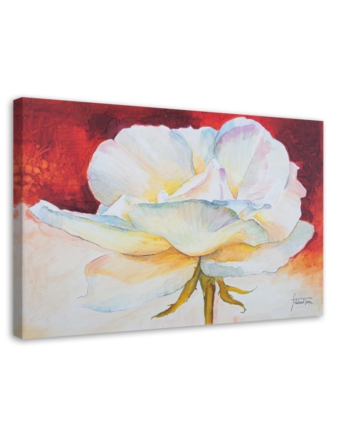 Dekoratives Leinwandbild - Weiße Pfingstrose | Feeby