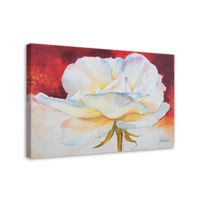 Dekoratives Leinwandbild - Weiße Pfingstrose | Feeby