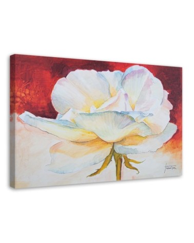 Dekoratives Leinwandbild - Weiße Pfingstrose | Feeby