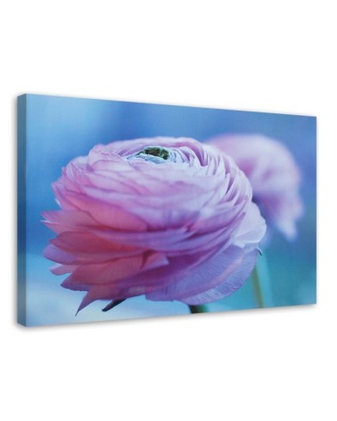 Leinwandbild modern - Pfingstrose - Nahaufnahme Knospe | Feeby