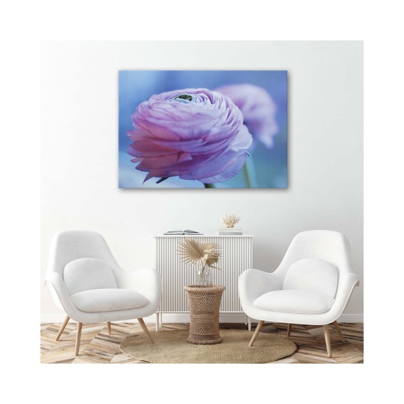 Leinwandbild modern - Pfingstrose - Nahaufnahme Knospe | Feeby