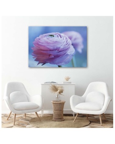 Leinwandbild modern - Pfingstrose - Nahaufnahme Knospe | Feeby