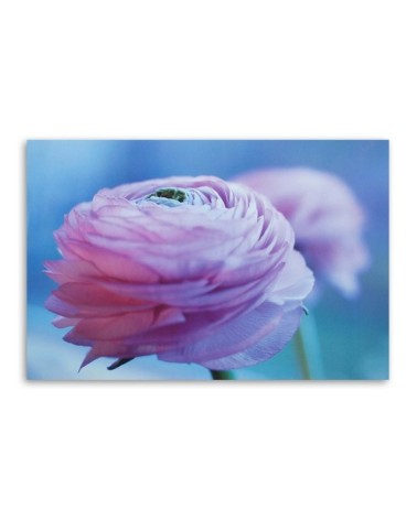 Leinwandbild modern - Pfingstrose - Nahaufnahme Knospe | Feeby