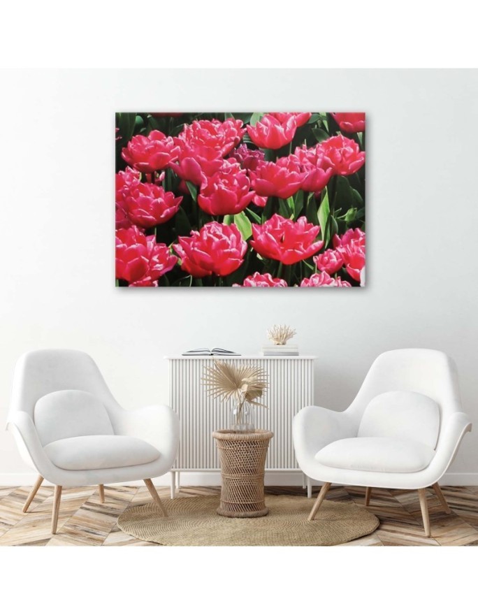 Obraz do salonu canvas - Różowe tulipany w ogrodzie | FEEBY