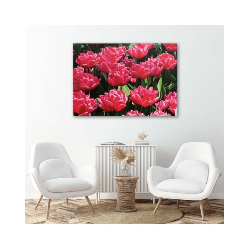 Wandbild für Wohnzimmer - Rosa Tulpen im Garten | Feeby