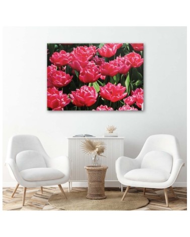 Wandbild für Wohnzimmer - Rosa Tulpen im Garten | Feeby