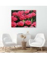 Obraz do salonu canvas - Różowe tulipany w ogrodzie | FEEBY