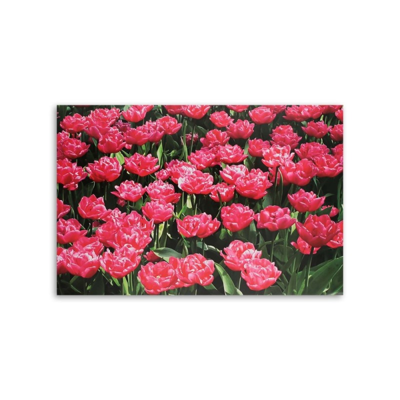 Wandbild für Wohnzimmer - Rosa Tulpen im Garten | Feeby