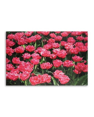 Wandbild für Wohnzimmer - Rosa Tulpen im Garten | Feeby