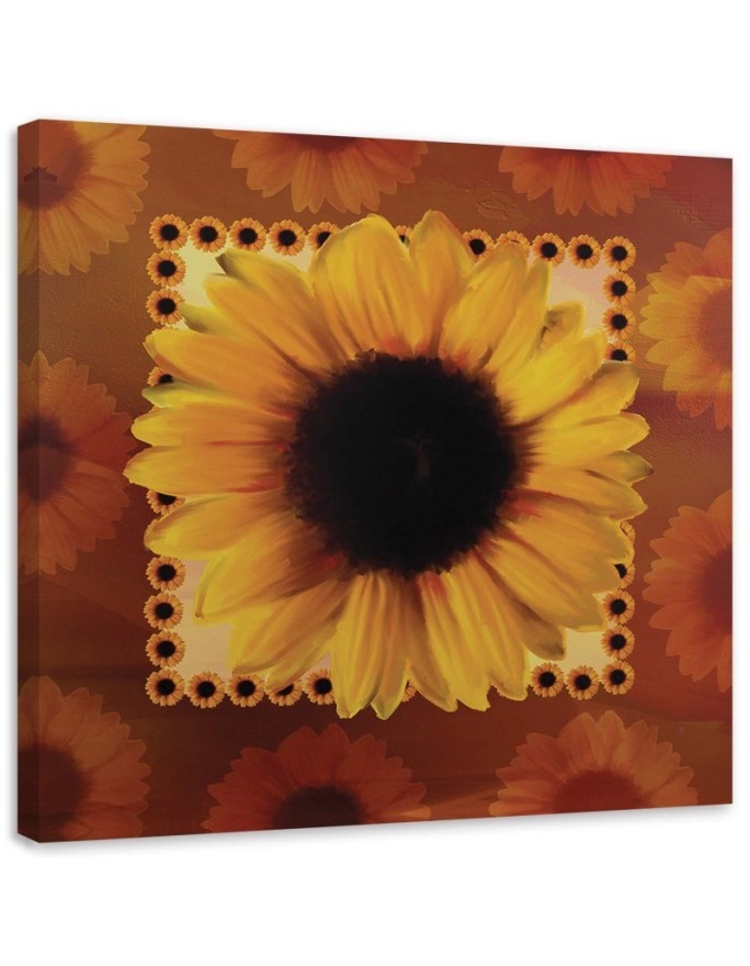 Bild - Sonnenblume | Feeby