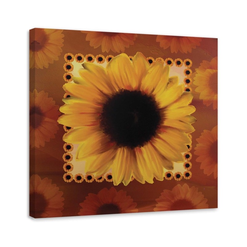 Bild - Sonnenblume | Feeby