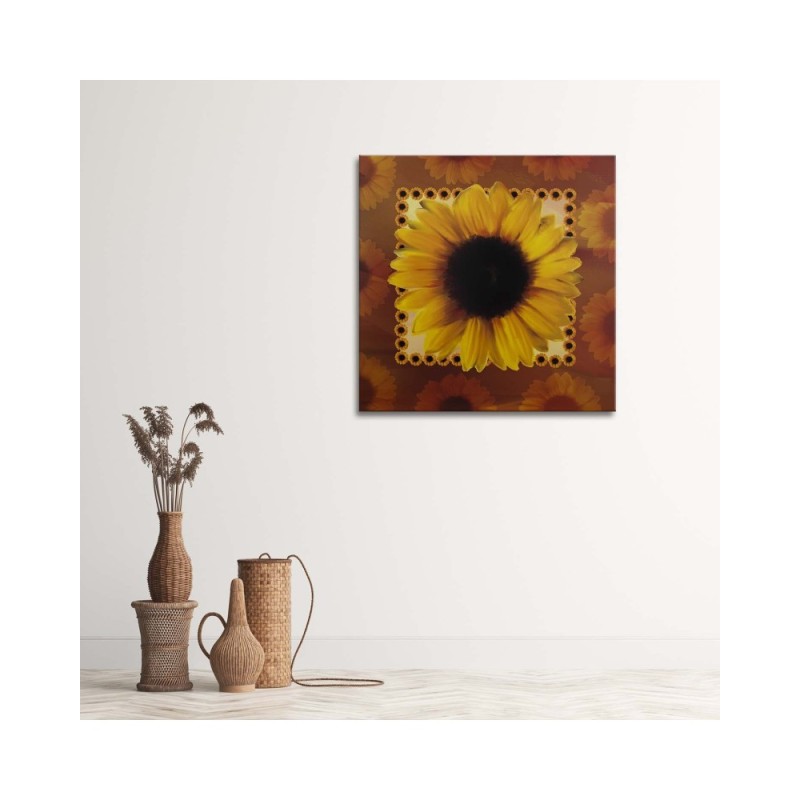 Bild - Sonnenblume | Feeby