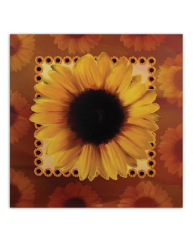 Bild - Sonnenblume | Feeby