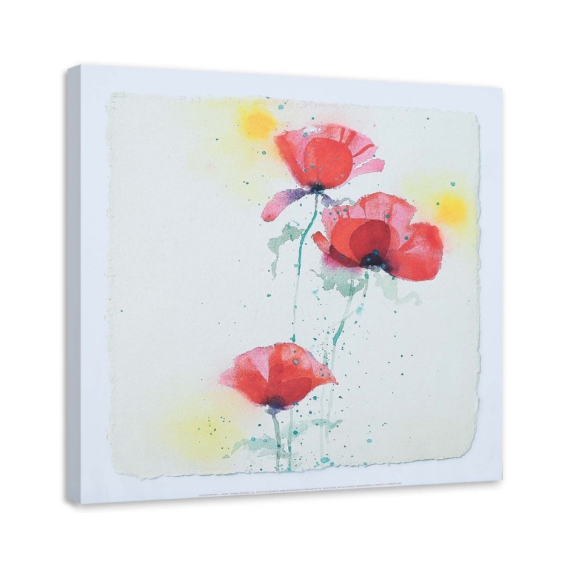 Dekoratives Leinwandbild - Wie drei handgemalte Mohnblumen | Feeby