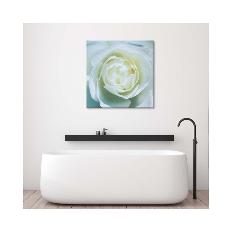 Bild auf Leinwand - Das Zentrum einer weißen Rose | Feeby