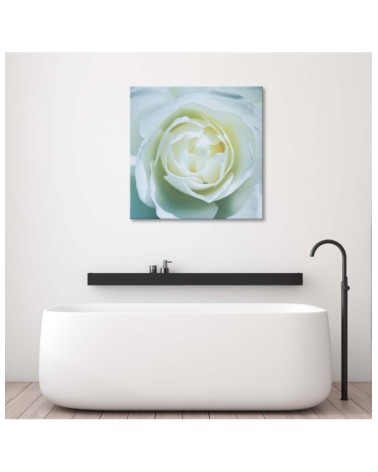 Bild auf Leinwand - Das Zentrum einer weißen Rose | Feeby