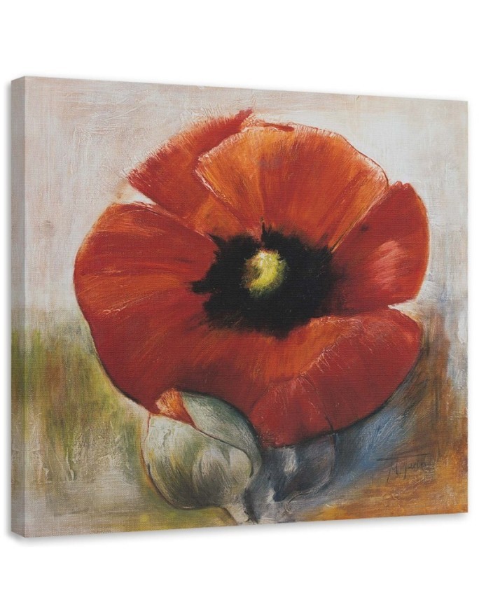 Leinwandbild - Wie eine handgemalte Mohnblume und Knospe | Feeby