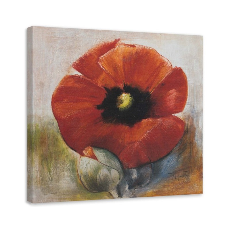 Leinwandbild - Wie eine handgemalte Mohnblume und Knospe | Feeby