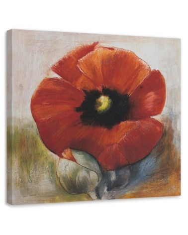Leinwandbild - Wie eine handgemalte Mohnblume und Knospe | Feeby
