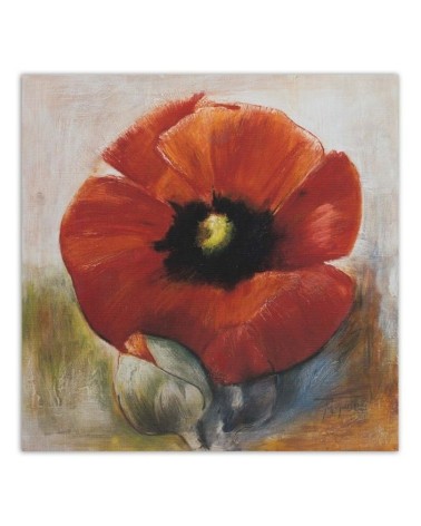 Leinwandbild - Wie eine handgemalte Mohnblume und Knospe | Feeby