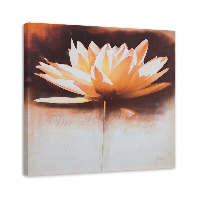 Leinwandbild modern - Seerosenblüte | Feeby