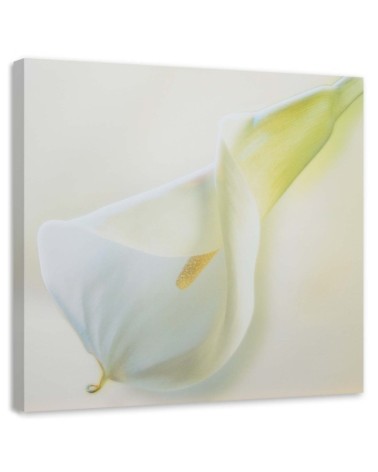 Hand-painted Canvas painting - White calla flower plant nature | FEEBY