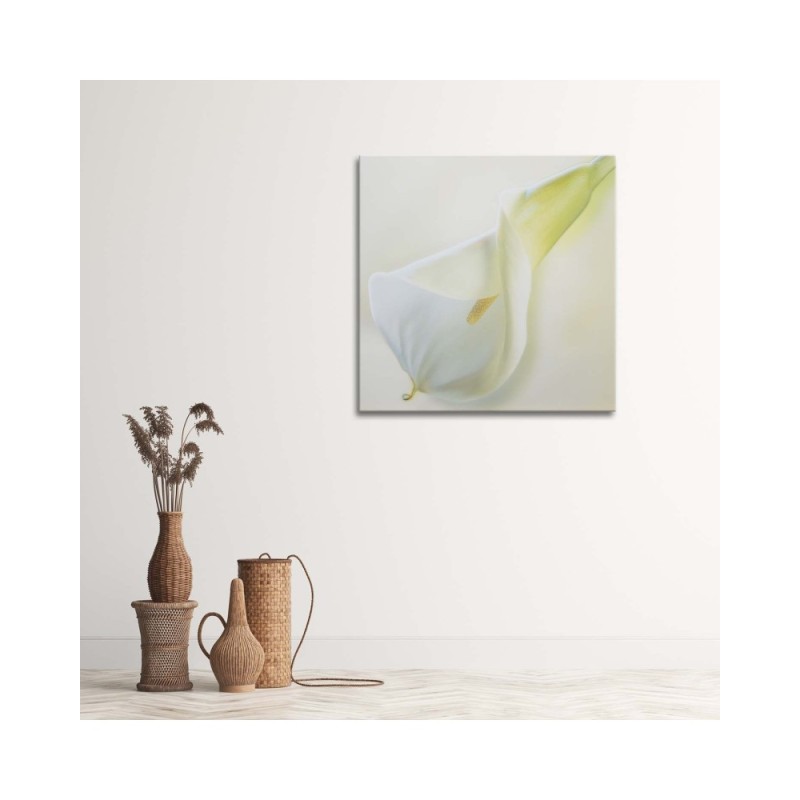 Dekoratives Leinwandbild - Weiße Blüte mit gelbem Stempel | Feeby