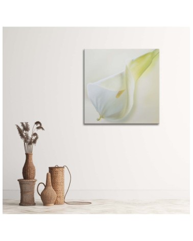 Dekoratives Leinwandbild - Weiße Blüte mit gelbem Stempel | Feeby