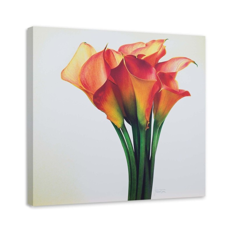 Bild auf Leinwand - Blumenstrauß aus roten Blumen | Feeby