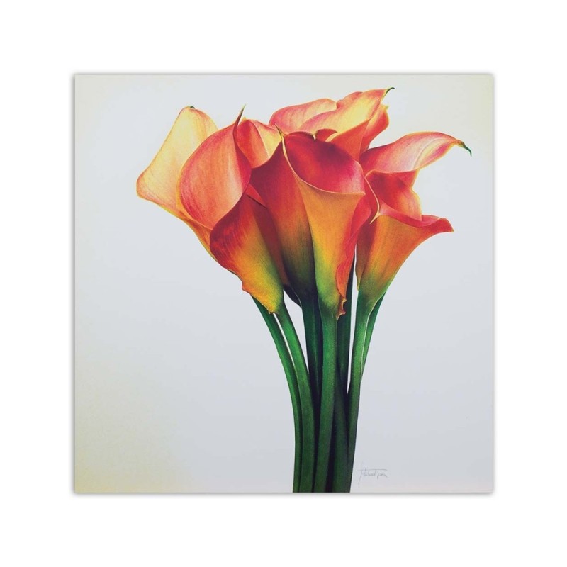 Bild auf Leinwand - Blumenstrauß aus roten Blumen | Feeby